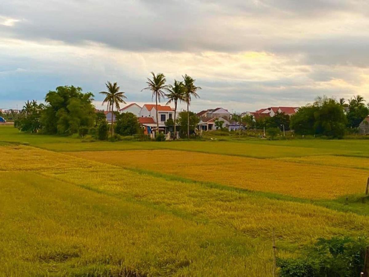 Lua House Homestay Hoi An Exterior foto